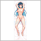 【国分寺美紗】 抱き枕カバー fetish ver. 裏