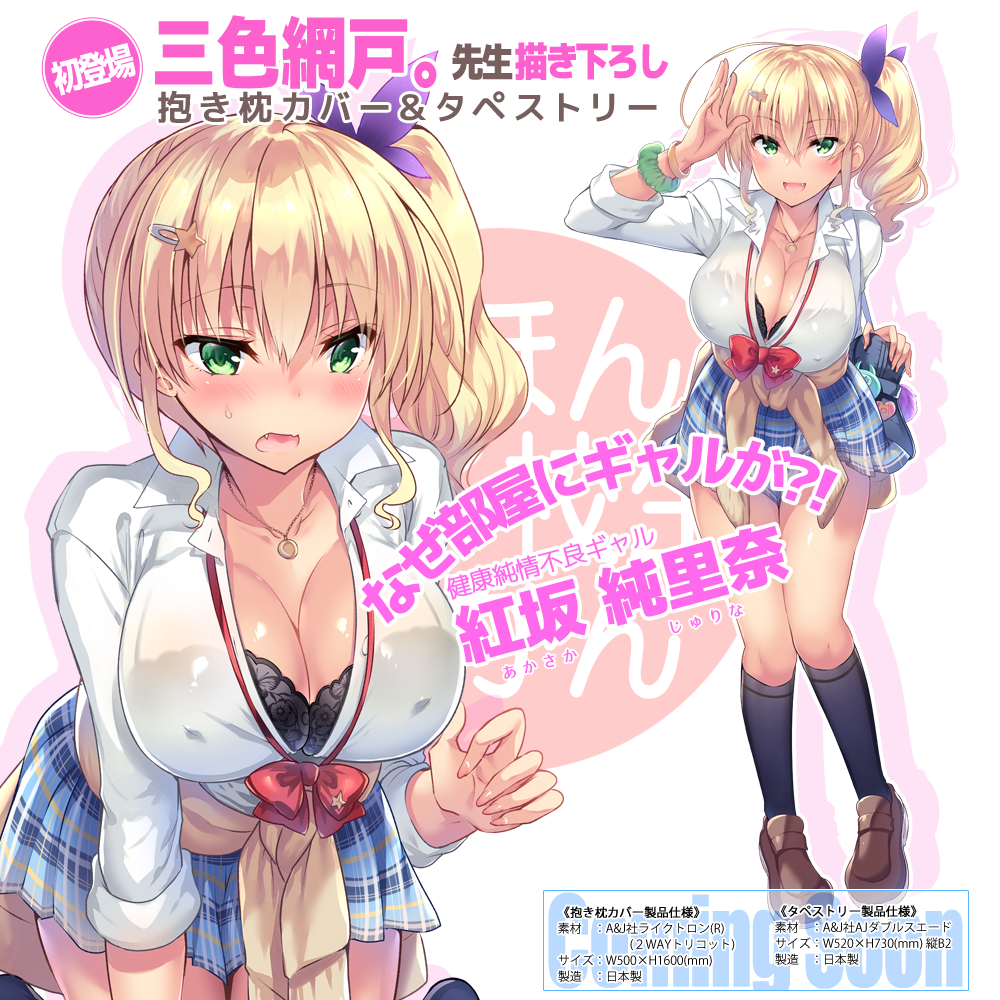 に印 にほん女子校生ずかん 藤ます先生描き下ろし 【三つ葉 しぐれ】抱き枕カバー & B2タペストリー に印 にほん女子校生ずかん 藤ます先生描き下ろし 【三つ葉 しぐれ】抱き枕カバー & B2タペストリー